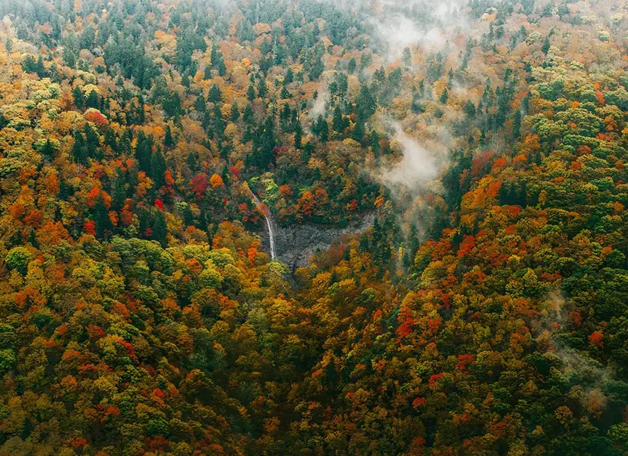 Сакральные знания мастеров дела кузнечного